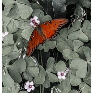 Meet your Posher, Katherine